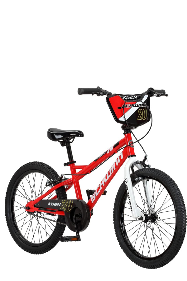Schwinn BMX style 20" bike: Cool gift for a 7-year-old