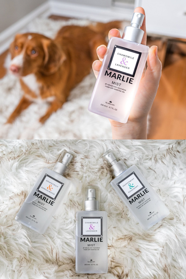 Pet essentials for summer: The Marlie Mist essential oil dog odor eliminator