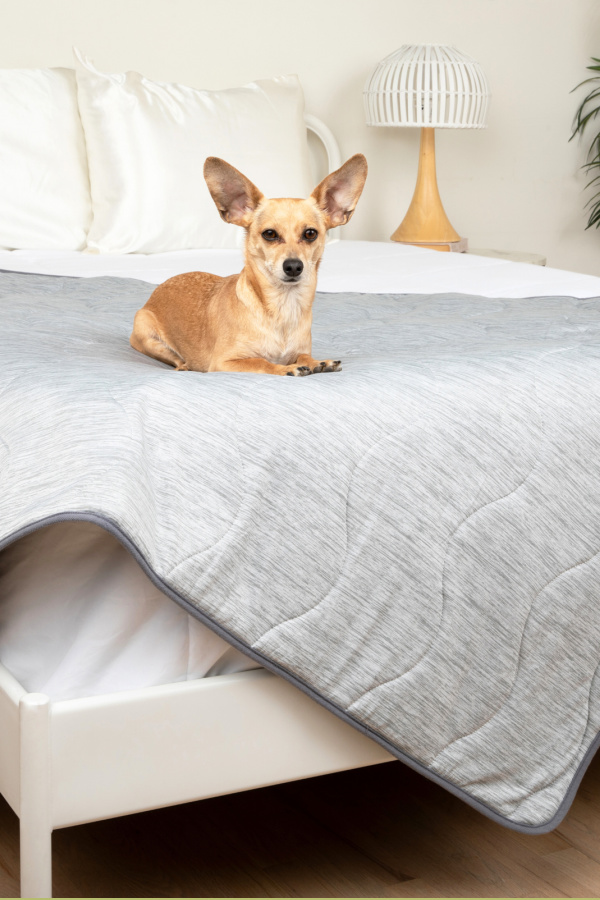 Pet essentials for summer: PupChill Waterproof Cooling Blanket -- toss it over a couch or bed to protect your furniture and your pet