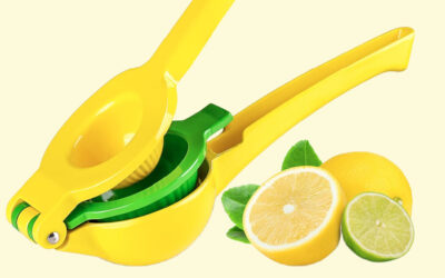 Deal of the Day: The citrus juicer we’ve recommended for years, now just $12.74