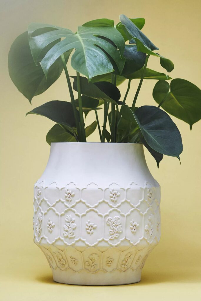 Anthropologie sale picks: An affordable planter to freshen up an old plant