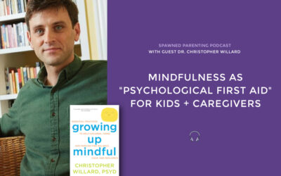 Parents are stressed. Kids are anxious. Dr. Chris Willard shares why mindfulness is “psychological first aid” for all of us.