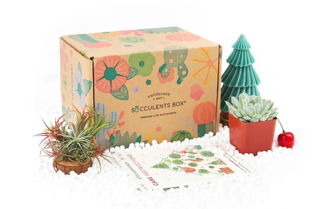 Succulent Gift Box: Affordable last-minute gift idea for so many people on your list! Succulent Gift Box: Affordable last-minute gift idea for so many people on your list!