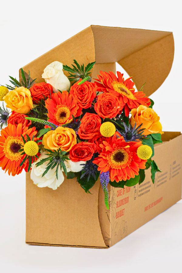 BloomsyBox Fresh Flowers