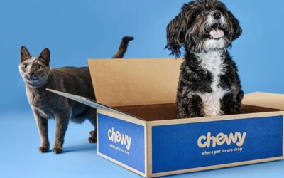 Chewy is making it easier (and sweeter) to be a pet parent this summer