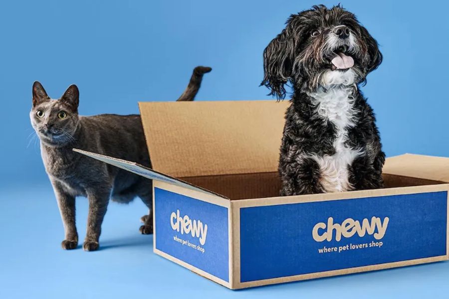Chewy is making it easier (and sweeter) to be a pet parent this summer